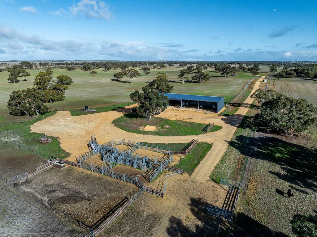 1911 Cadgee Road, Naracoorte SA 5271