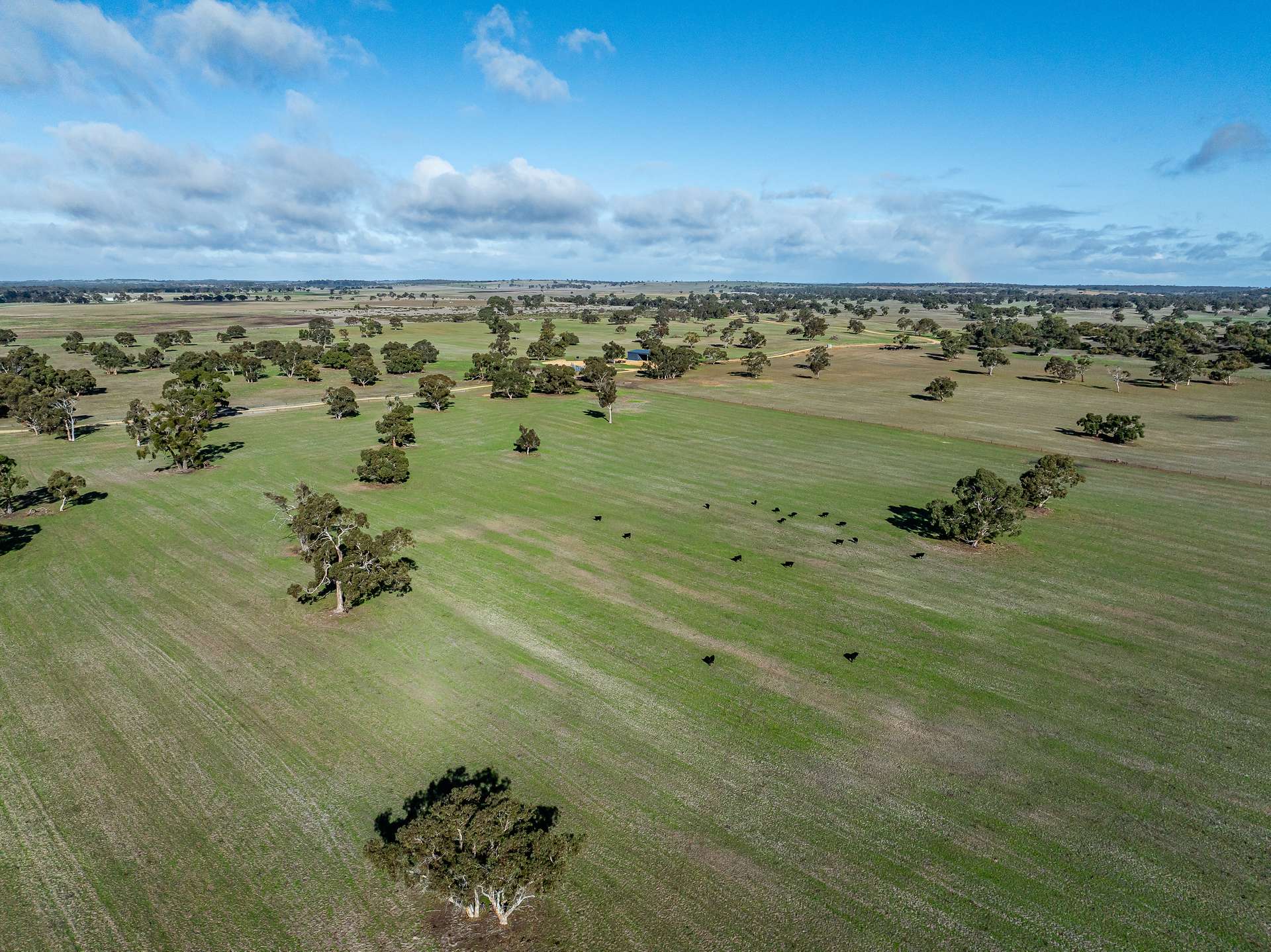 1911 Cadgee Road, Naracoorte For Sale by Farmbuy.com - image 17