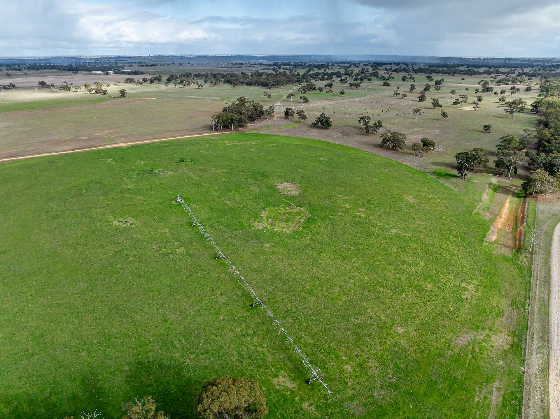 1911 Cadgee Road, Naracoorte For Sale by Farmbuy.com - image 21