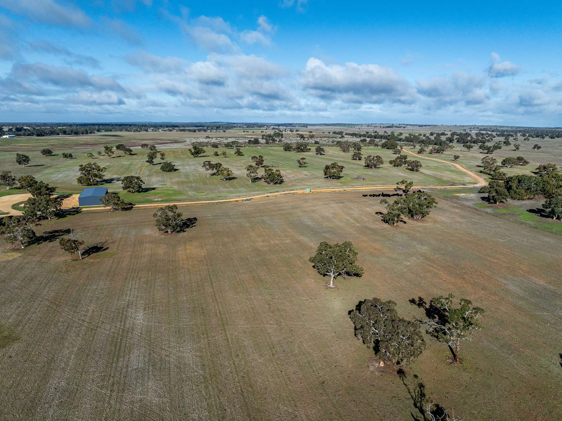1911 Cadgee Road, Naracoorte For Sale by Farmbuy.com - image 16