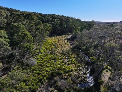 Farm For Sale - NSW - Monga - 2622 - Acreage Opportunity with Creek Frontage & National Park Border 