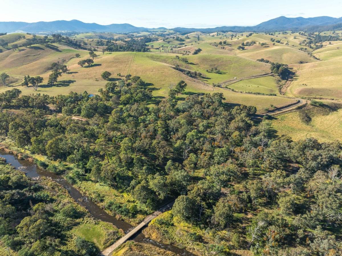 111 Sandy Creek Road, Ensay Sold by Farmbuy.com - image 6