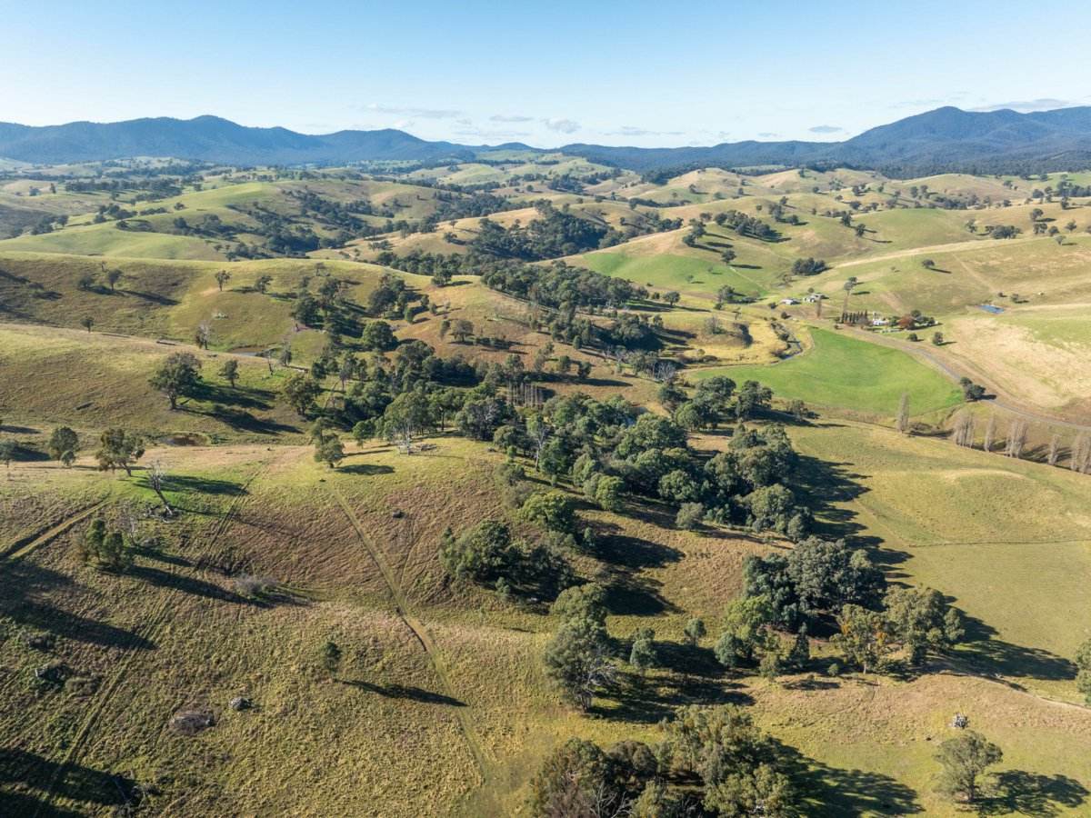 111 Sandy Creek Road, Ensay Sold by Farmbuy.com - image 22