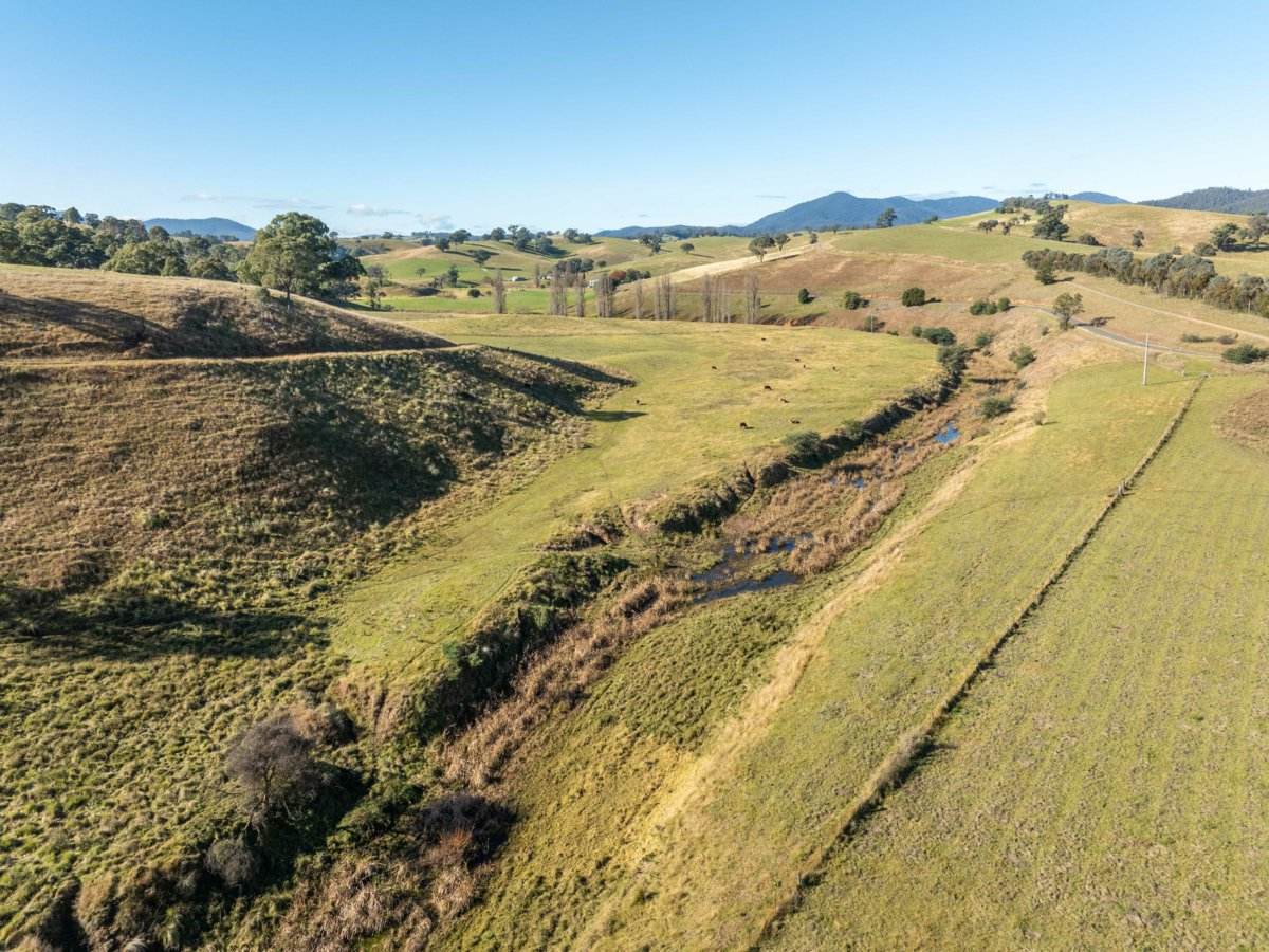 111 Sandy Creek Road, Ensay Sold by Farmbuy.com - image 21