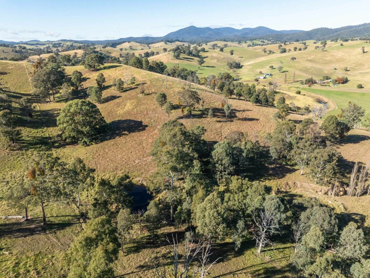 111 Sandy Creek Road, Ensay Sold by Farmbuy.com - image 25