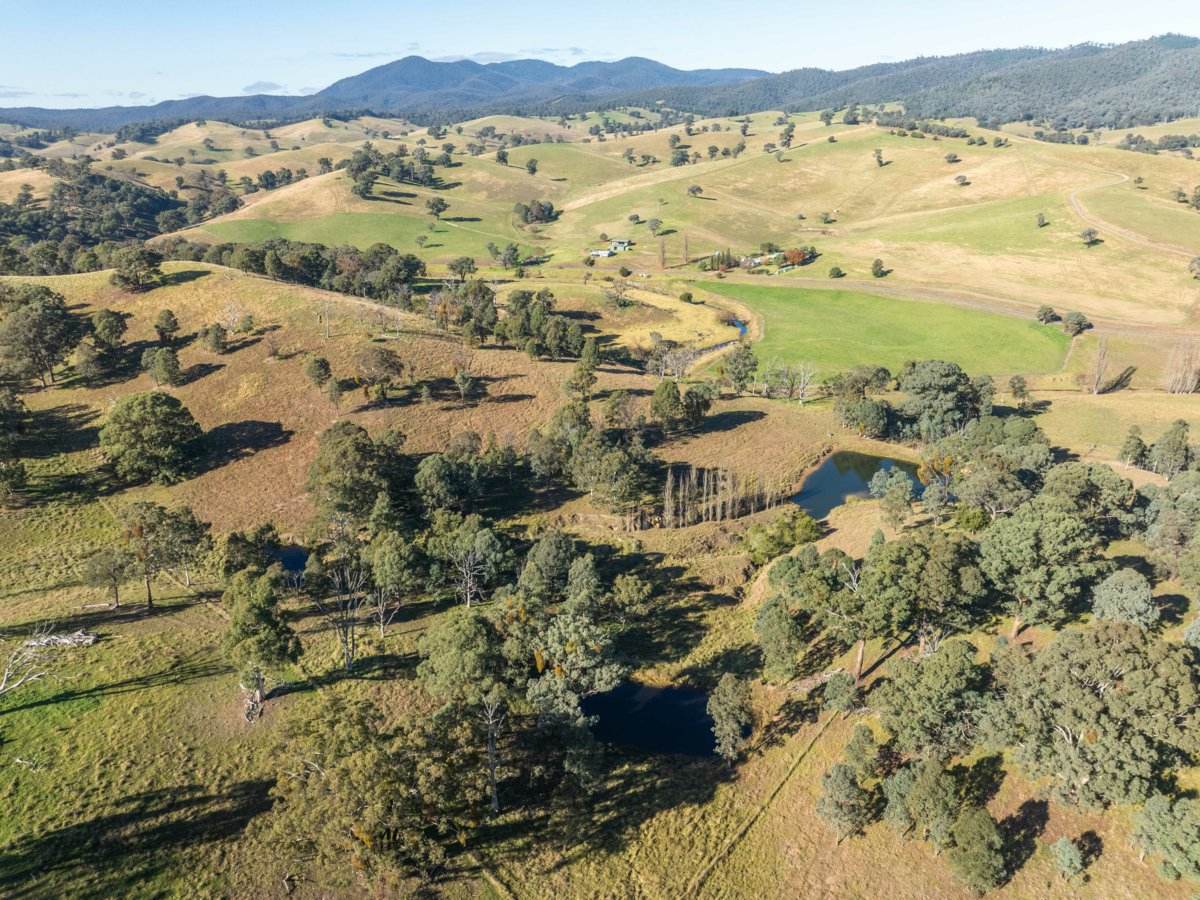 111 Sandy Creek Road, Ensay Sold by Farmbuy.com - image 23