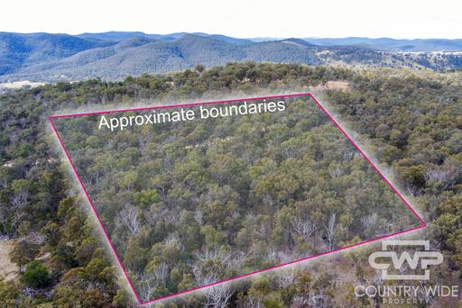 Farm For Sale - NSW - Red Range - 2370 - Escape to Nature! 