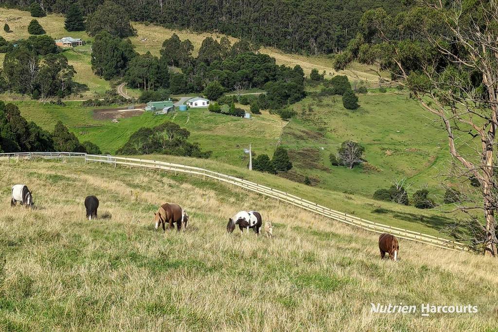 482 Old Whitelaws Track, Devon North VIC 3971