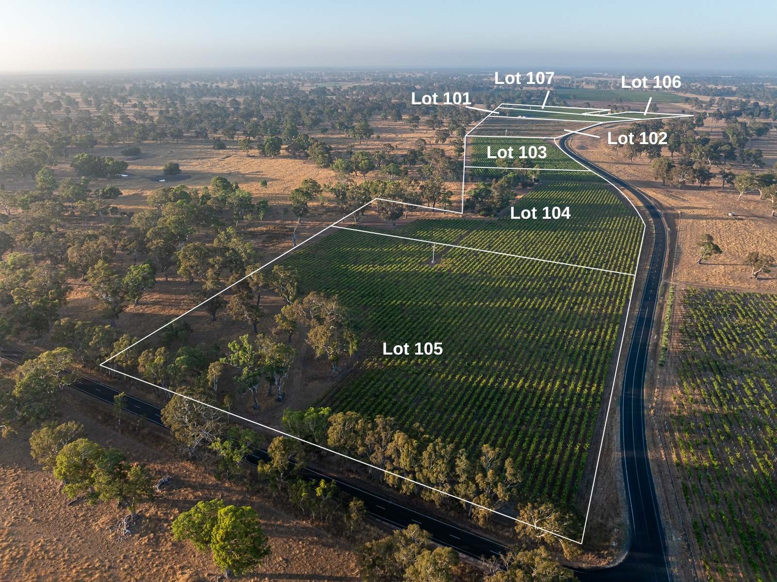 Lot 106 Dergholm Road, Penola For Sale by Farmbuy.com - image 3