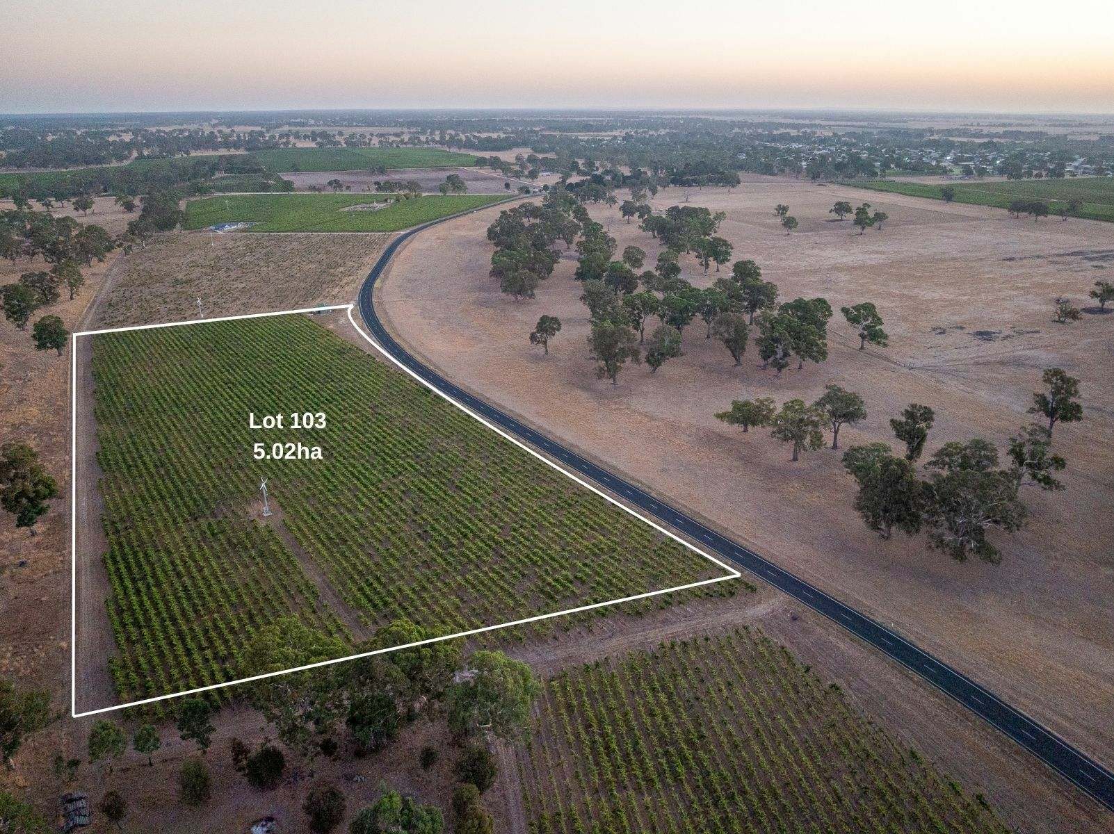 Lot 103 Dergholm Road, Penola For Sale by Farmbuy.com - image 1