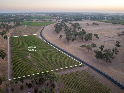 Farm For Sale - SA - Penola - 5277 - Lifestyle allotment two minutes from Penola 