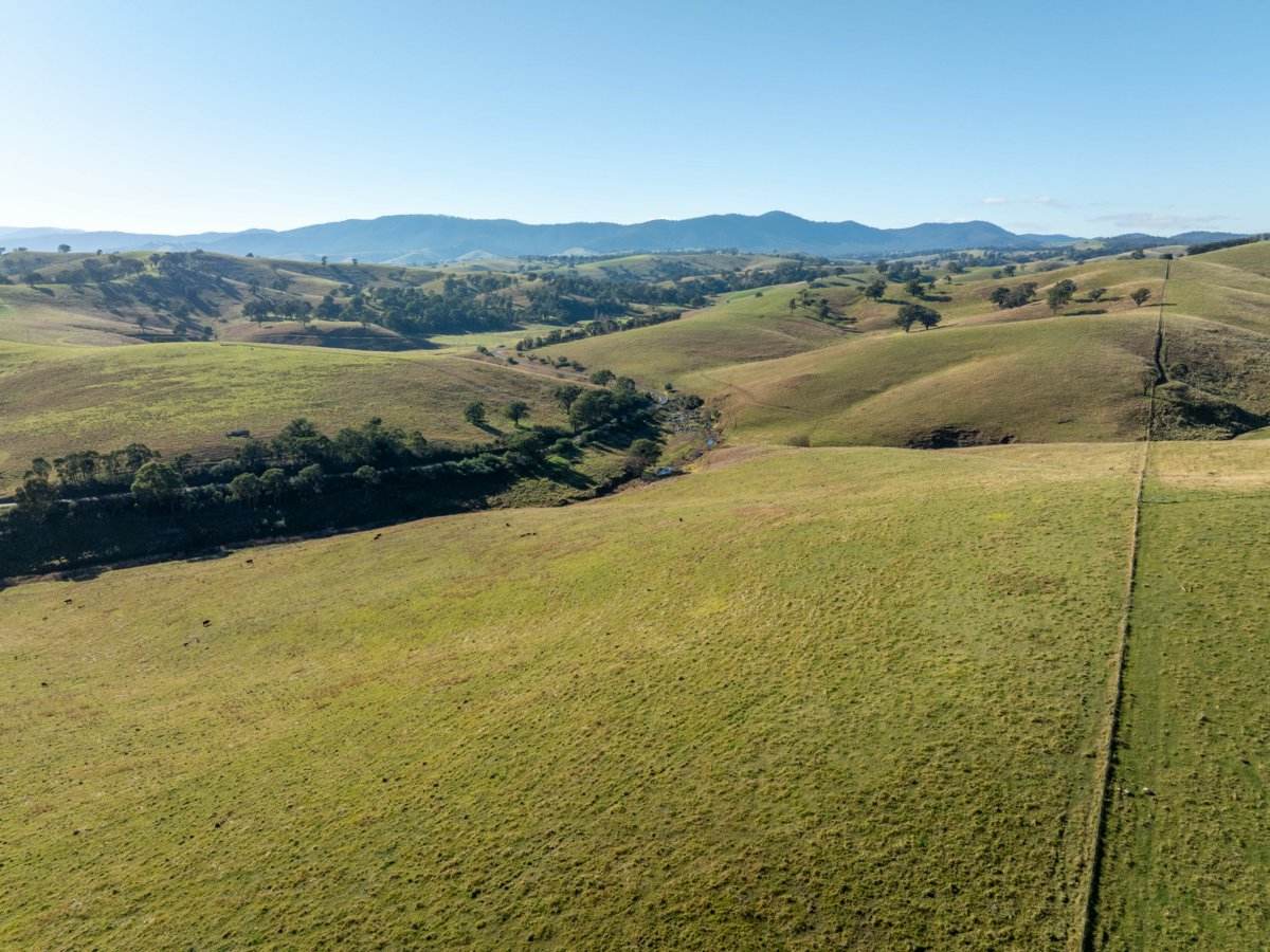 40 Sandy Creek Road, Ensay Sold by Farmbuy.com - image 10