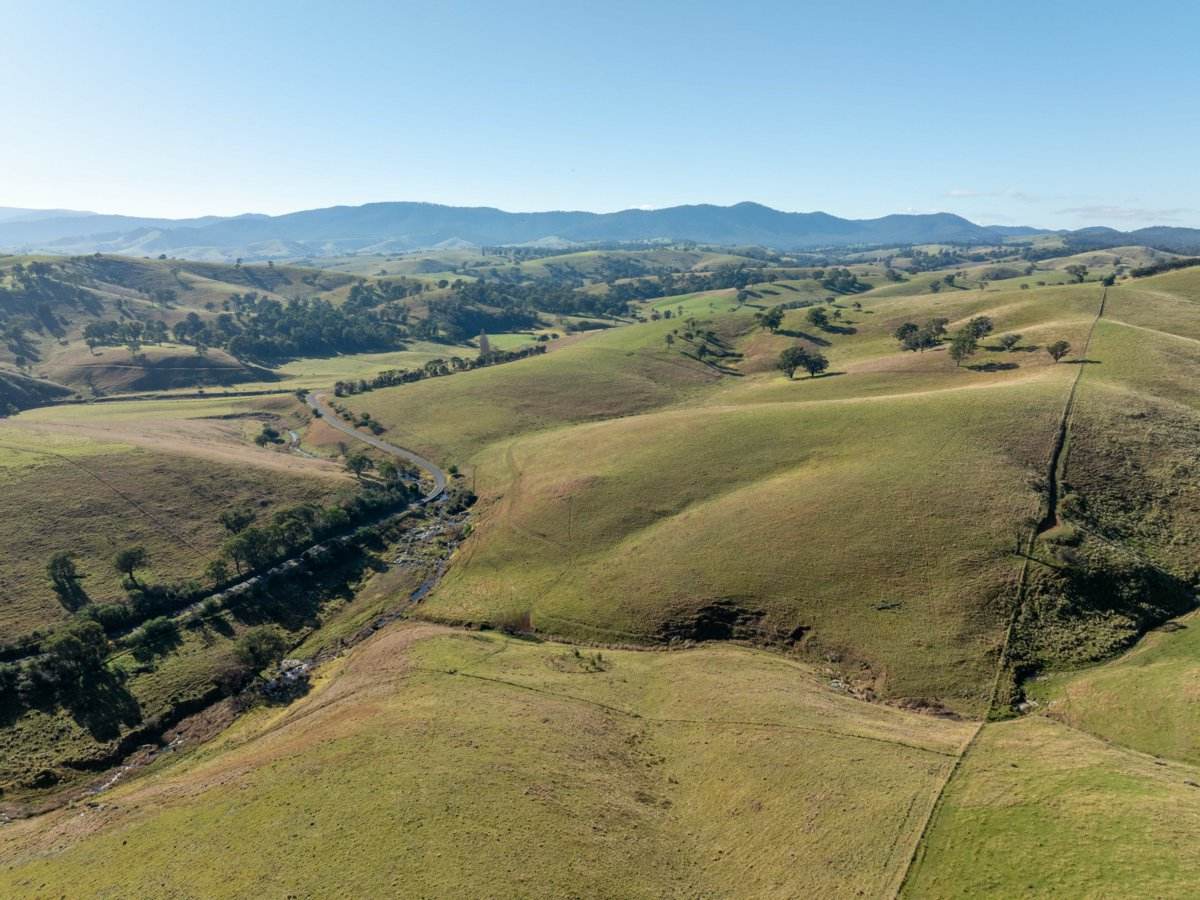 40 Sandy Creek Road, Ensay Sold by Farmbuy.com - image 11