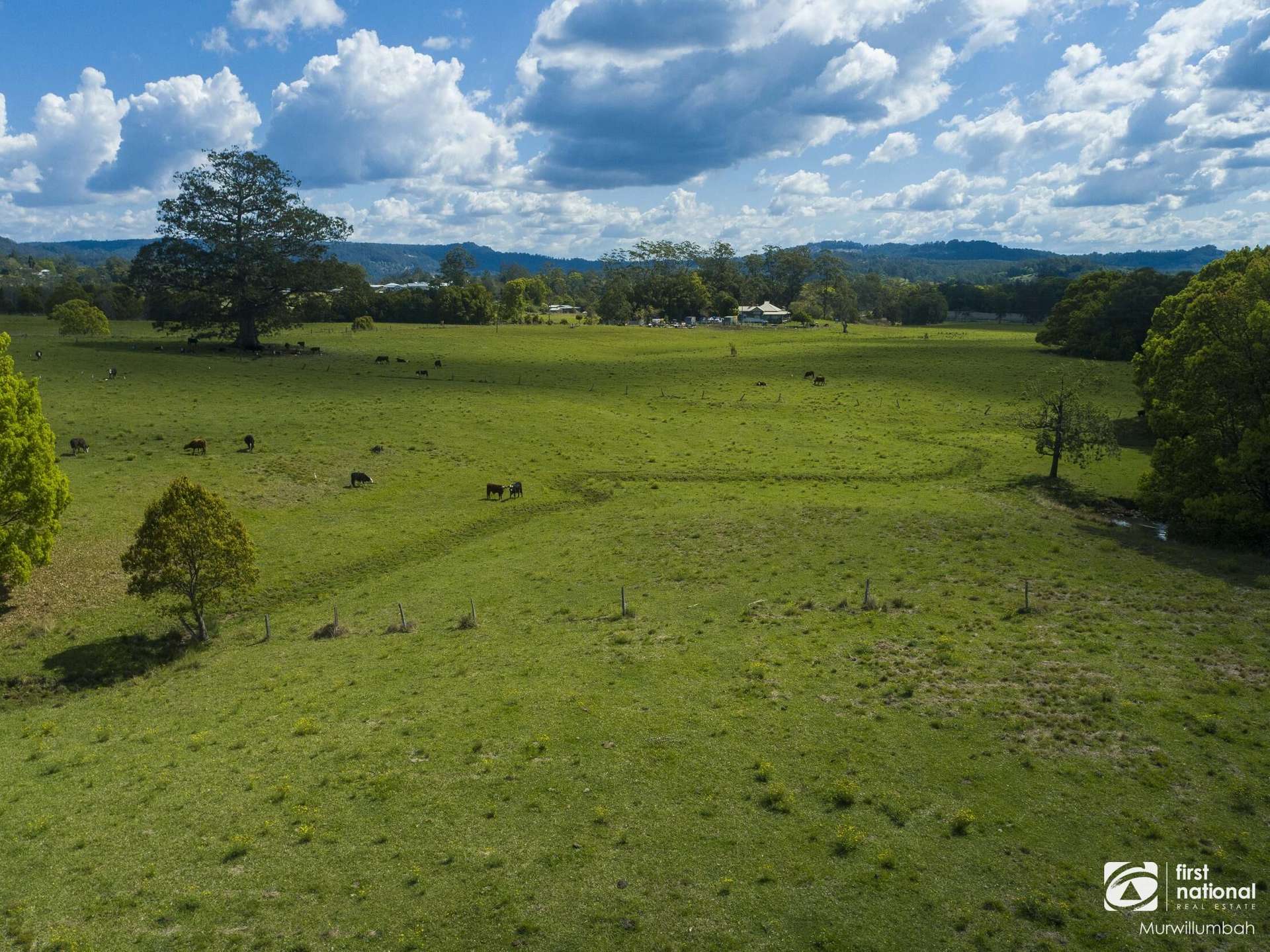 75 Tuntable Falls Road, Nimbin For Sale by Farmbuy.com - image 6