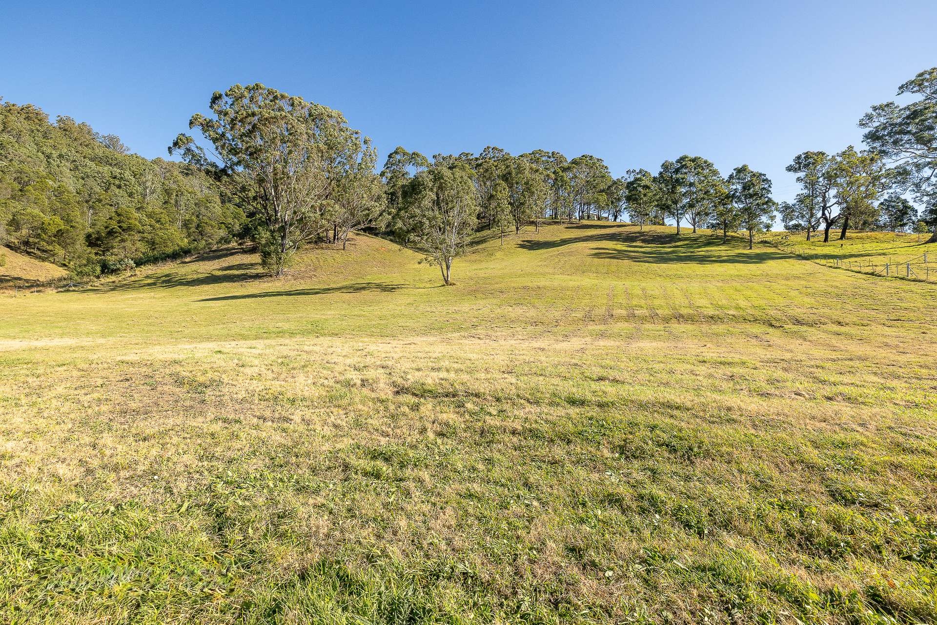 Lot 26-33,  Hardy Street, Cobargo For Sale by Farmbuy.com - image 5