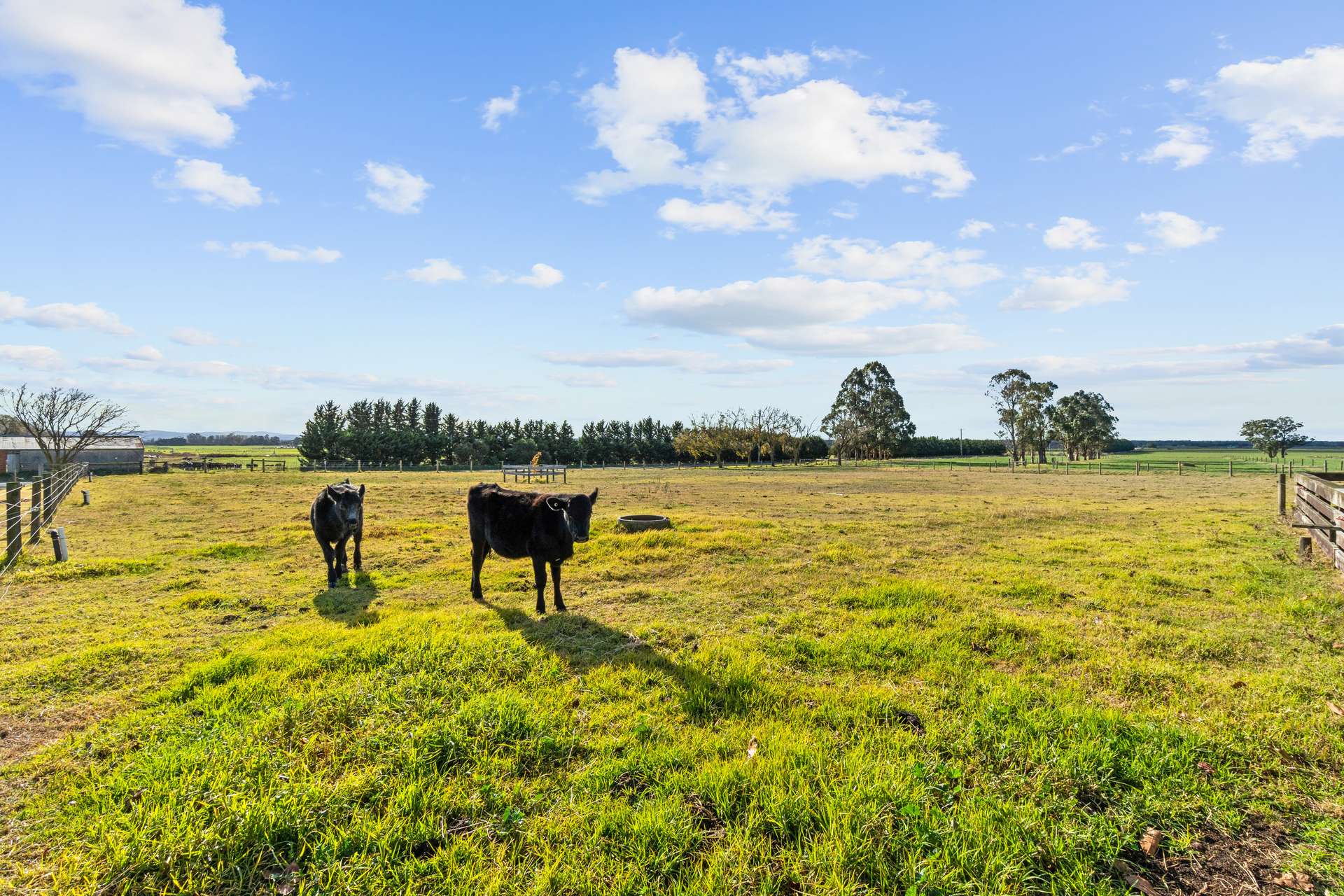 213 Brewers Hill Road, Maffra For Sale by Farmbuy.com - image 15