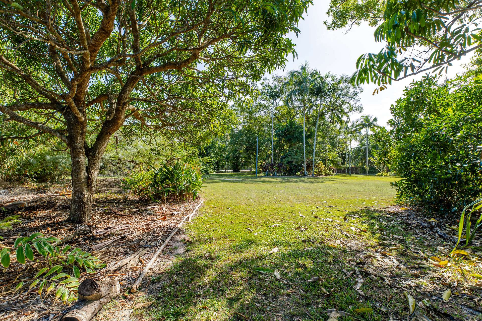 87-89 South Arm Drive, Wonga Beach Sold by Farmbuy.com - image 13