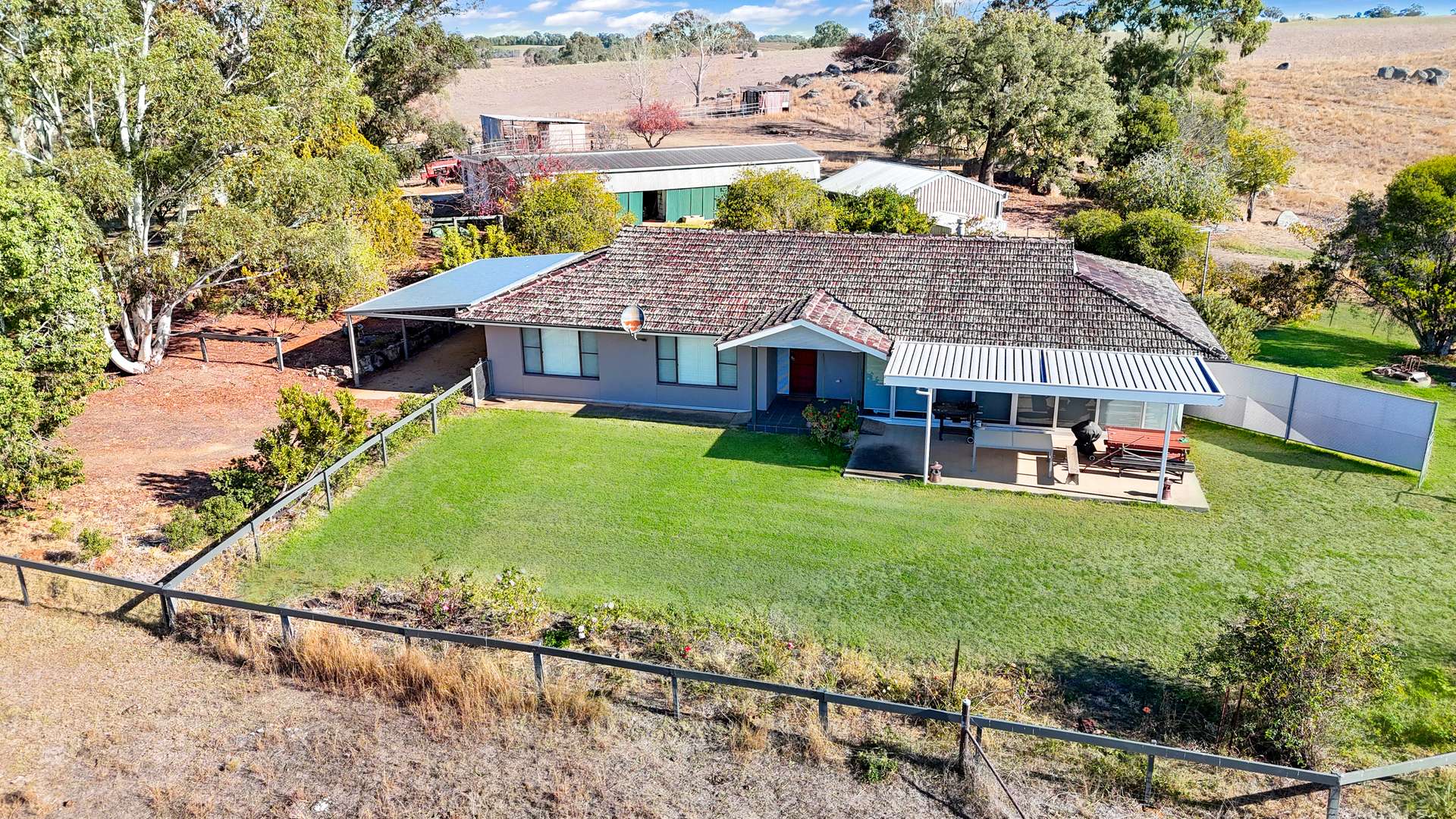 Young For Sale by Farmbuy.com - image 3