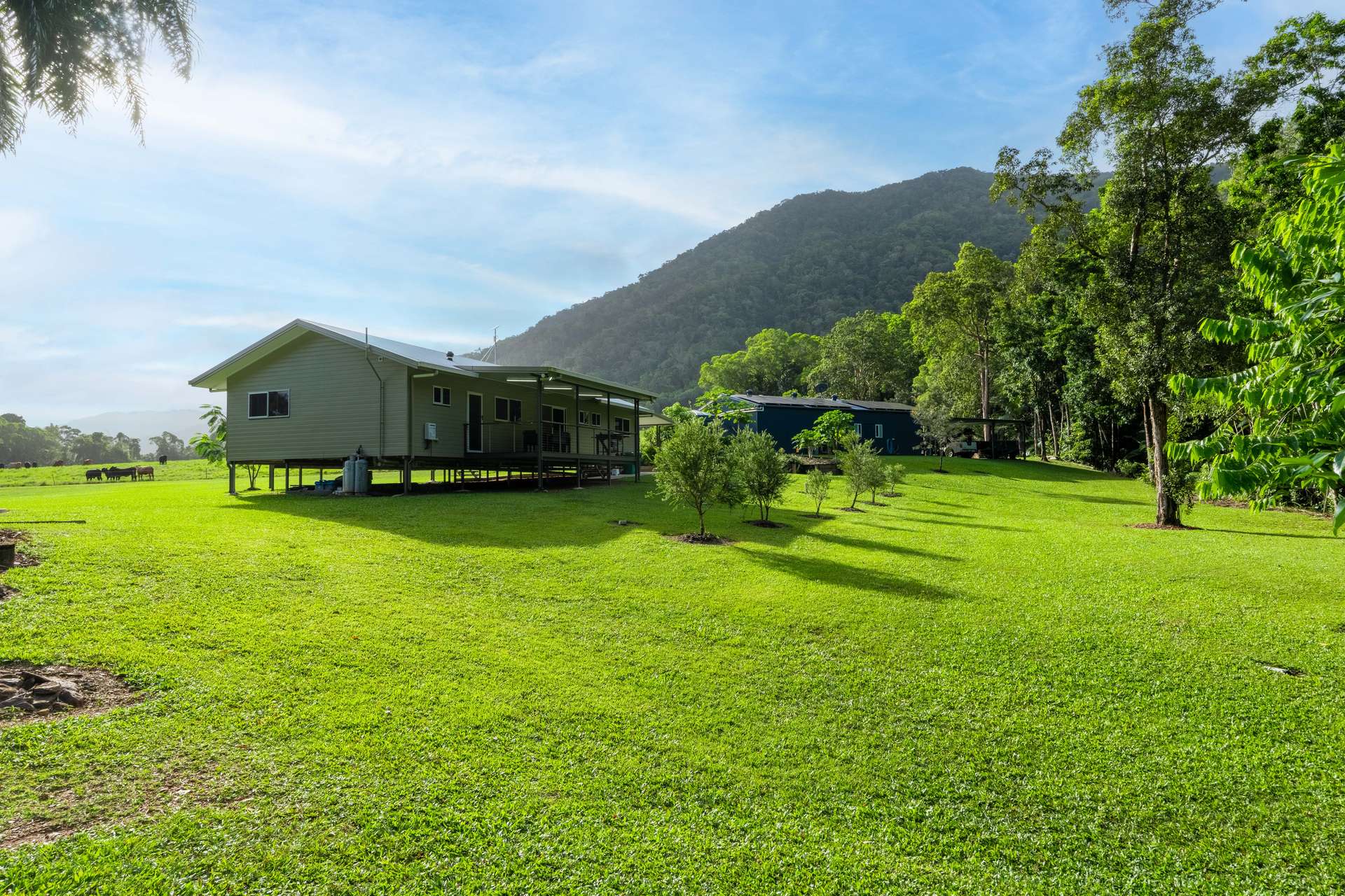 633 Cape Tribulation Road, Kimberley, Daintree For Sale by Farmbuy.com - image 33