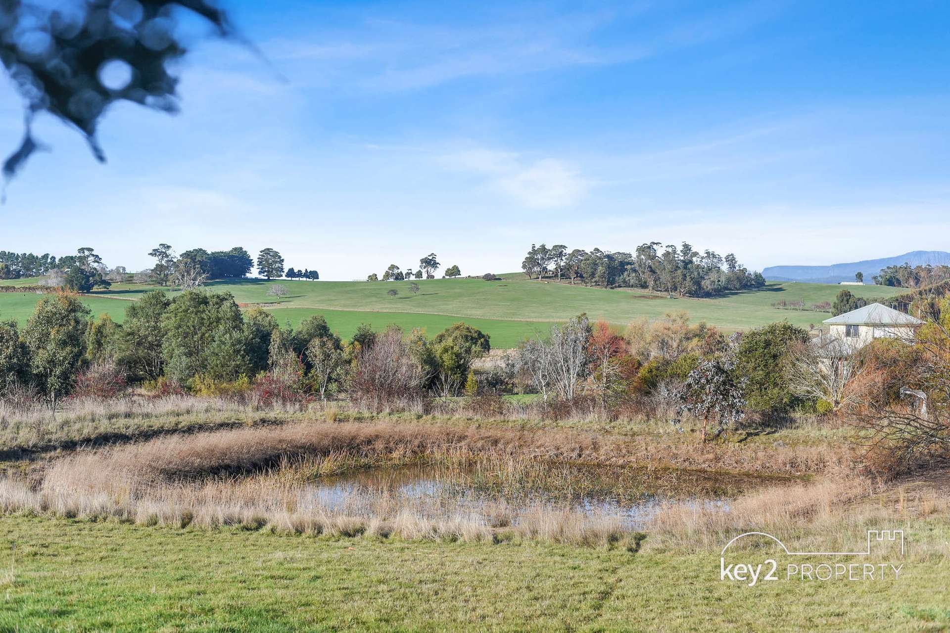 2 Dexter Street, Westbury For Sale by Farmbuy.com - image 6