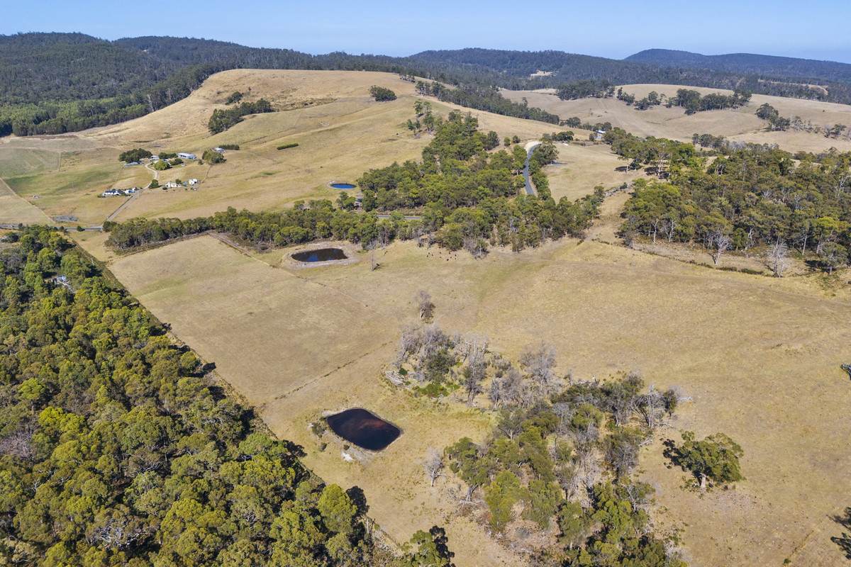 370 Saltwater River Road, Premaydena For Sale by Farmbuy.com - image 11