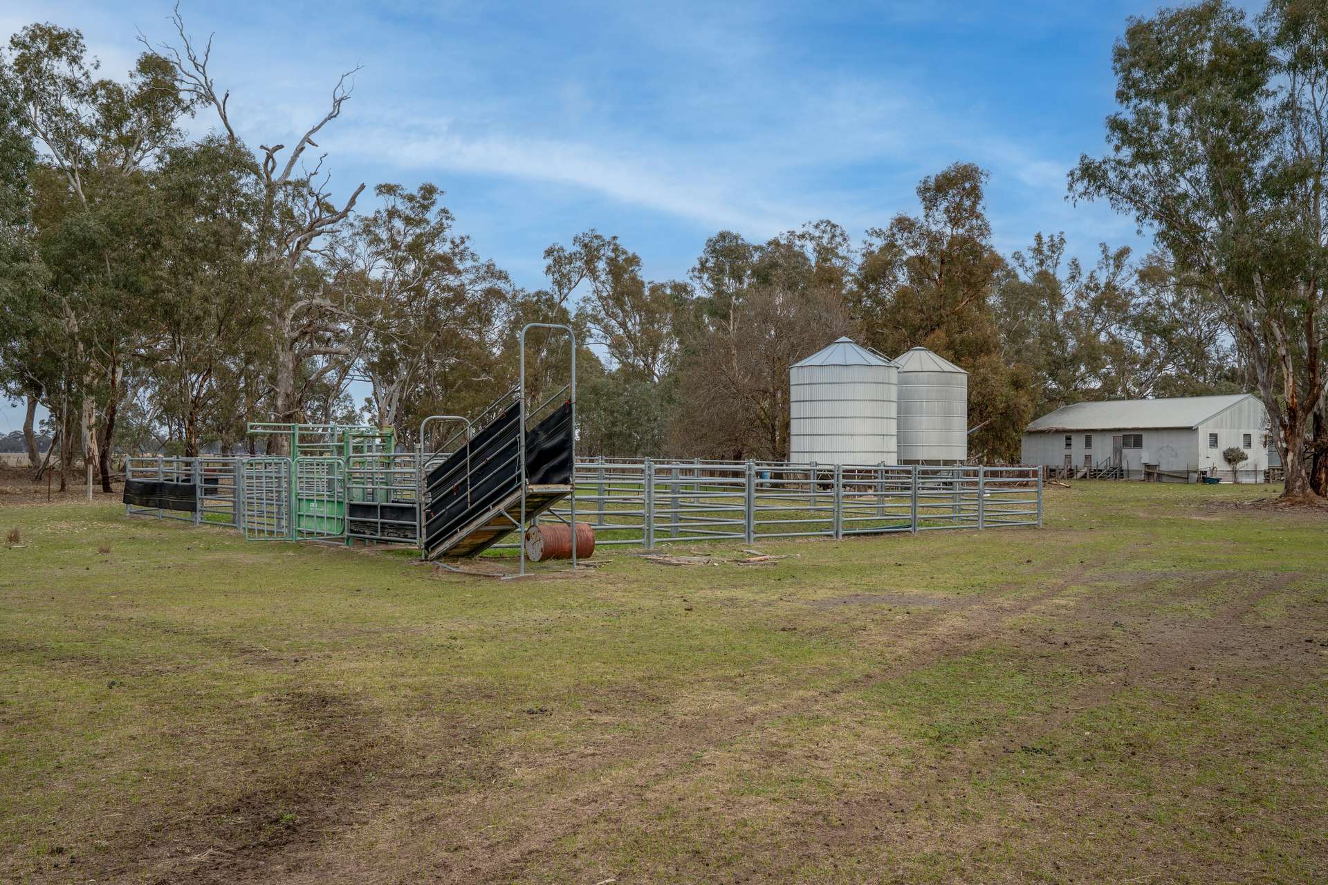 Lot 38 Pranjip Road, Pranjip For Sale by Farmbuy.com - image 3