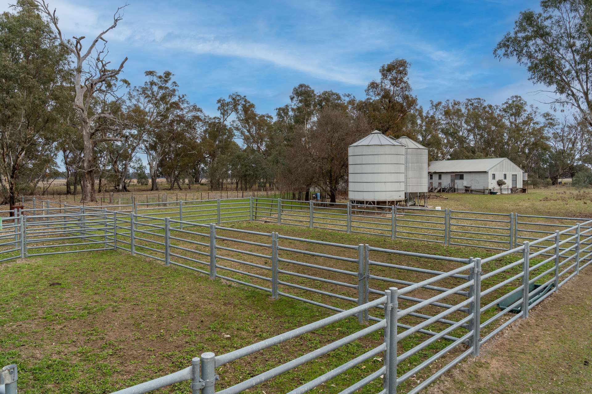 Lot 38 Pranjip Road, Pranjip For Sale by Farmbuy.com - image 6