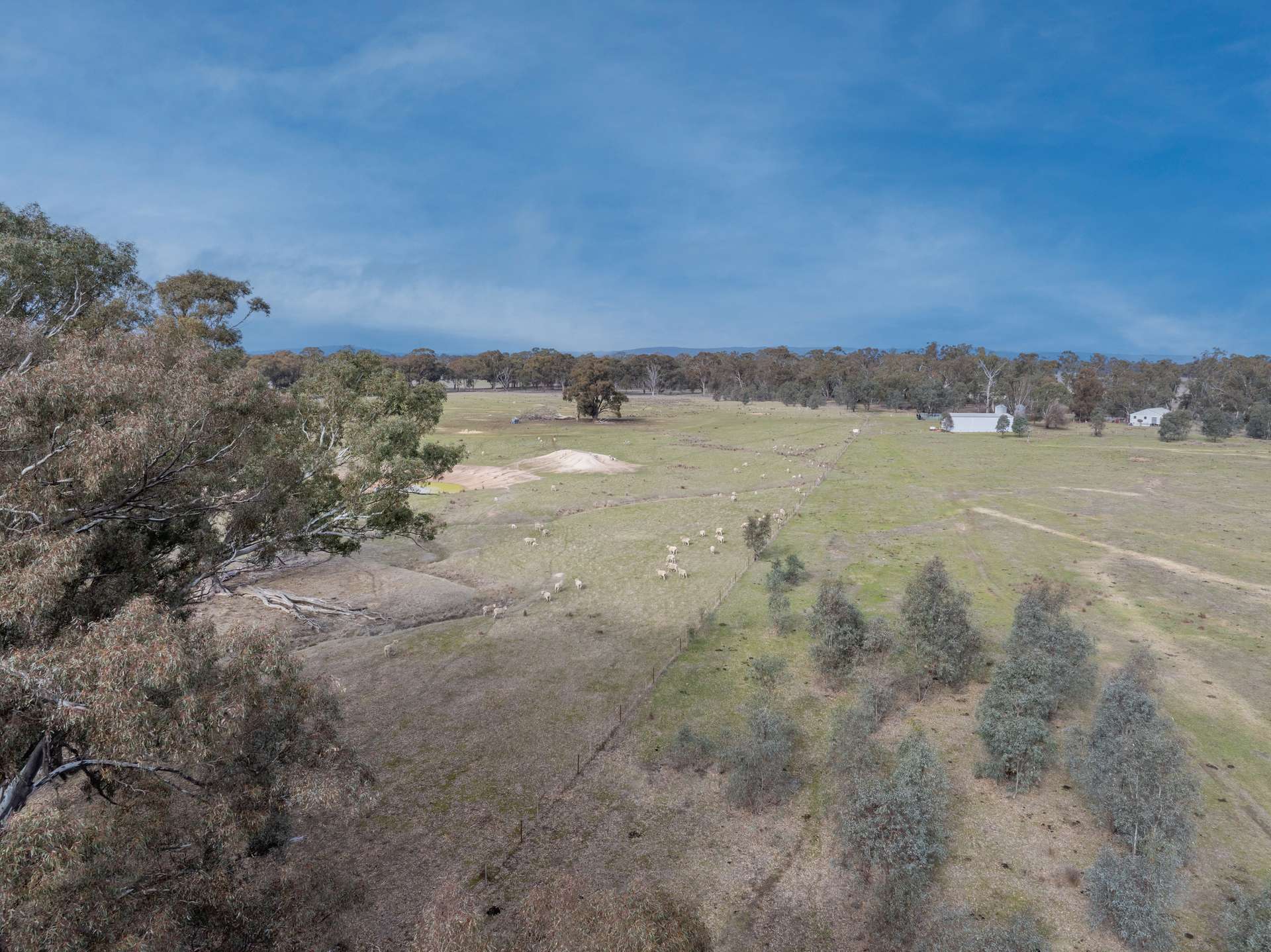 Lot 38 Pranjip Road, Pranjip For Sale by Farmbuy.com - image 22