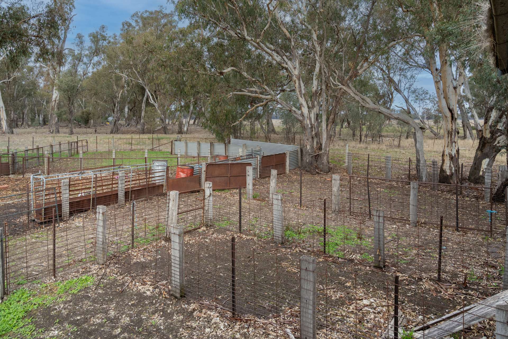 Lot 38 Pranjip Road, Pranjip For Sale by Farmbuy.com - image 16