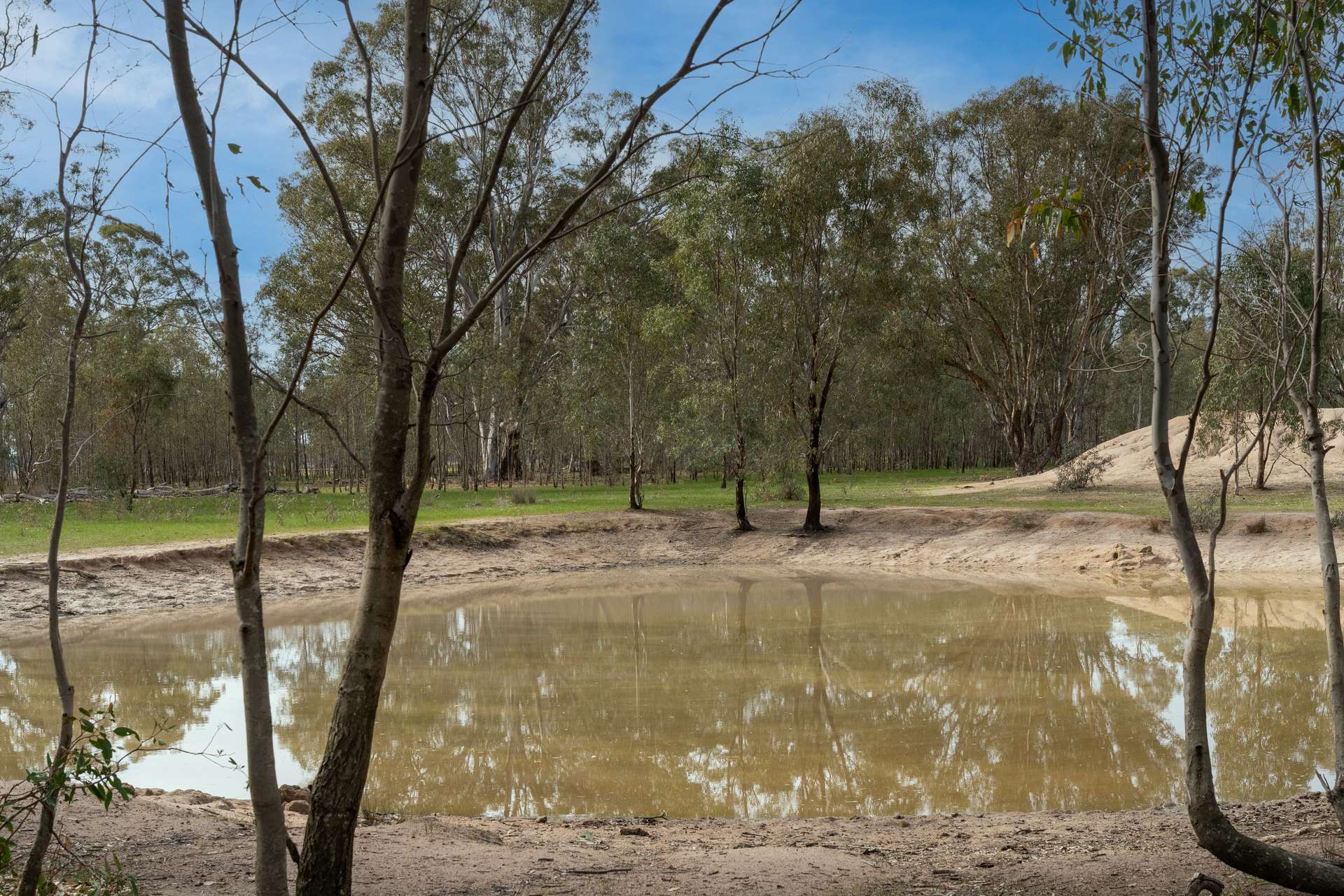 Lot 38 Pranjip Road, Pranjip For Sale by Farmbuy.com - image 33