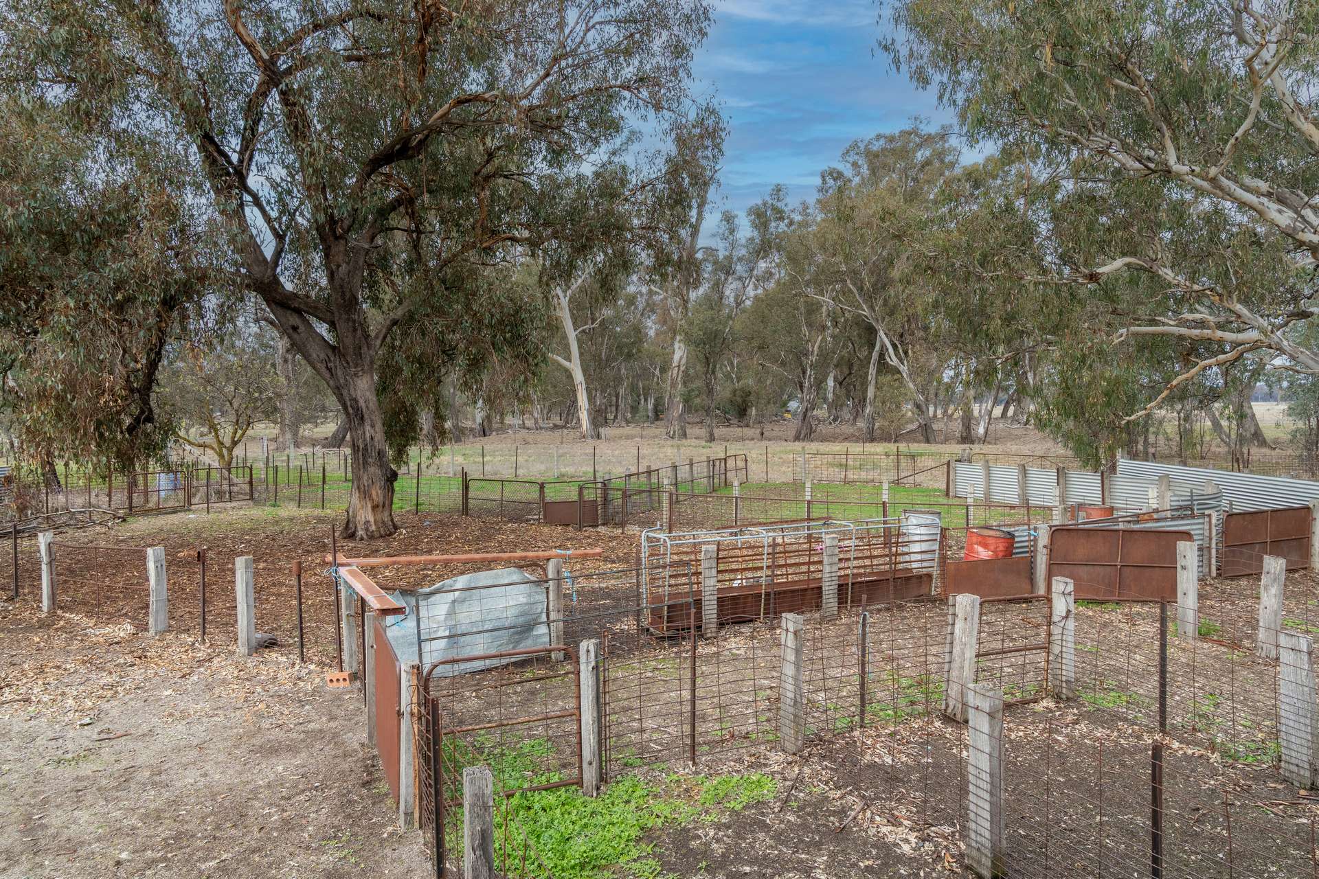 Lot 38 Pranjip Road, Pranjip For Sale by Farmbuy.com - image 15