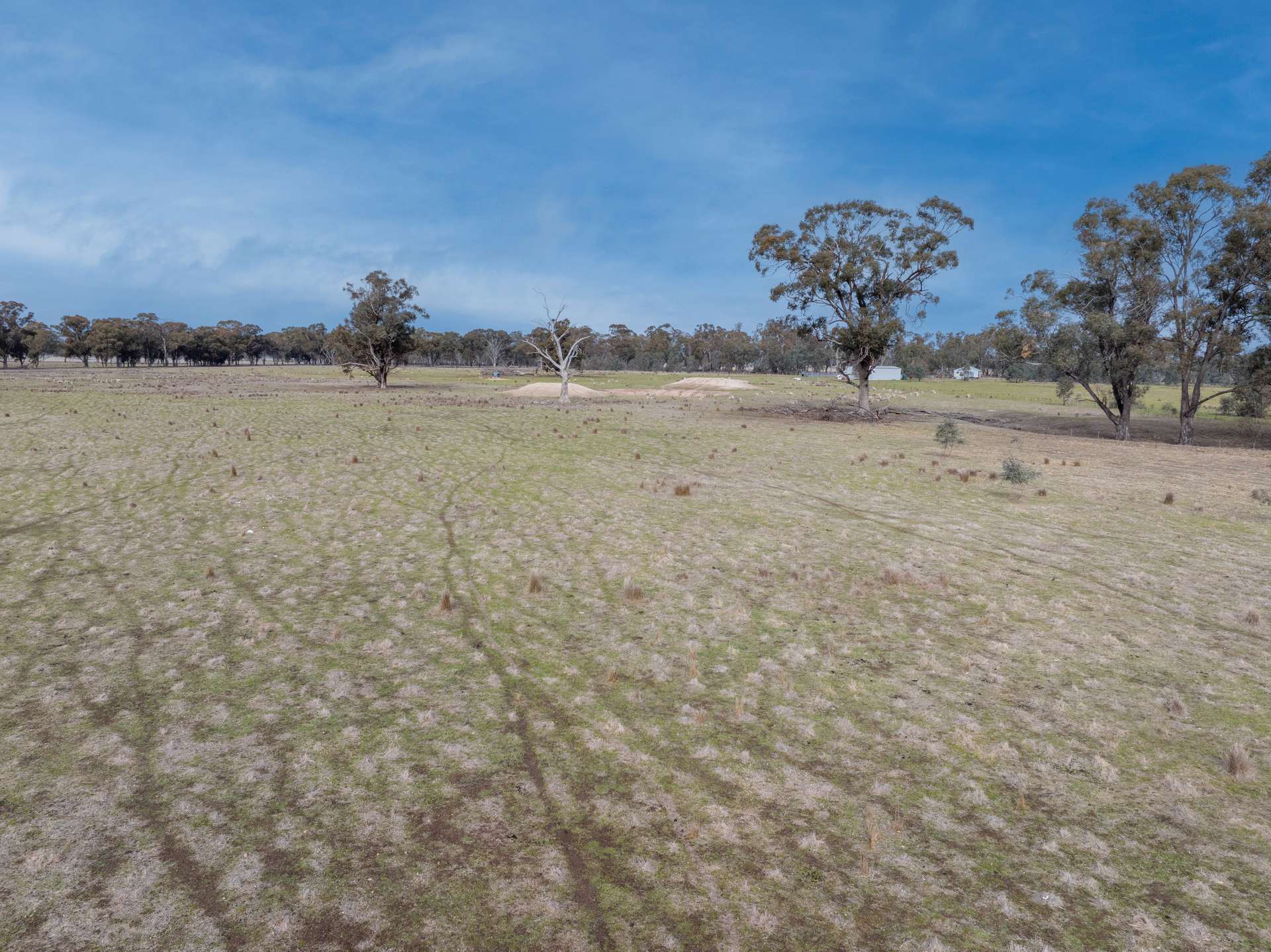 Lot 38 Pranjip Road, Pranjip For Sale by Farmbuy.com - image 27