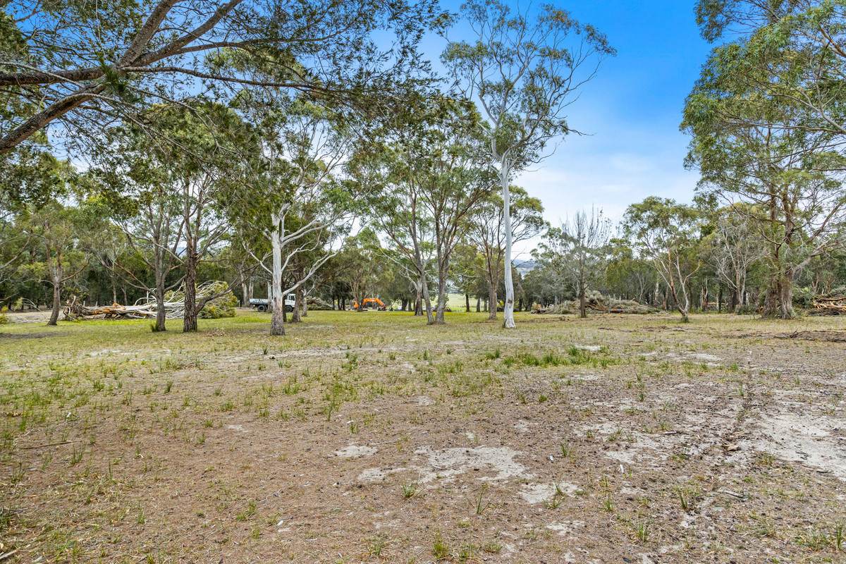 196 Rheban Road, Orford For Sale by Farmbuy.com - image 7