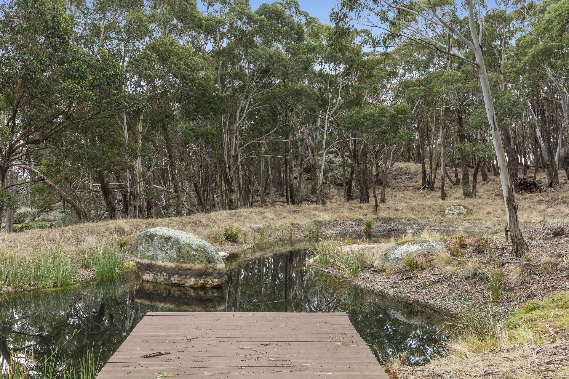 Glenhope East For Sale by Farmbuy.com - image 11