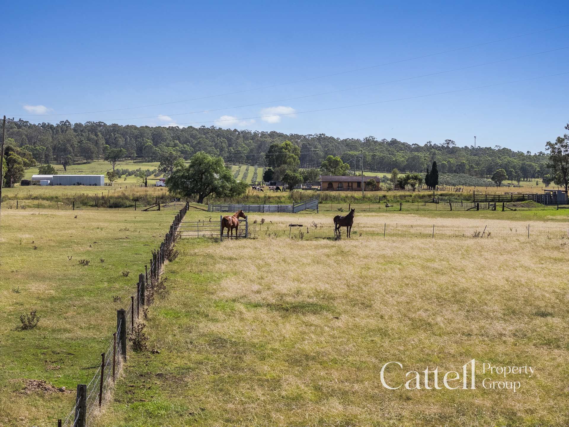 586 Glendon Road, Singleton For Sale by Farmbuy.com - image 21