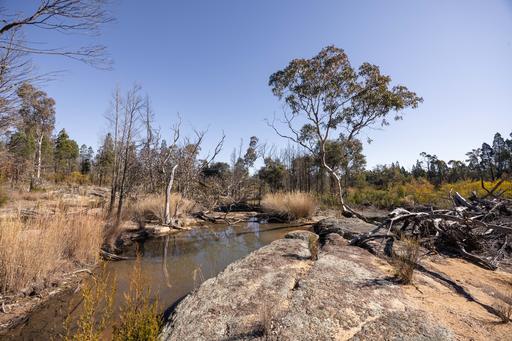 250 Springwood Park Road, Gulgong NSW 2852