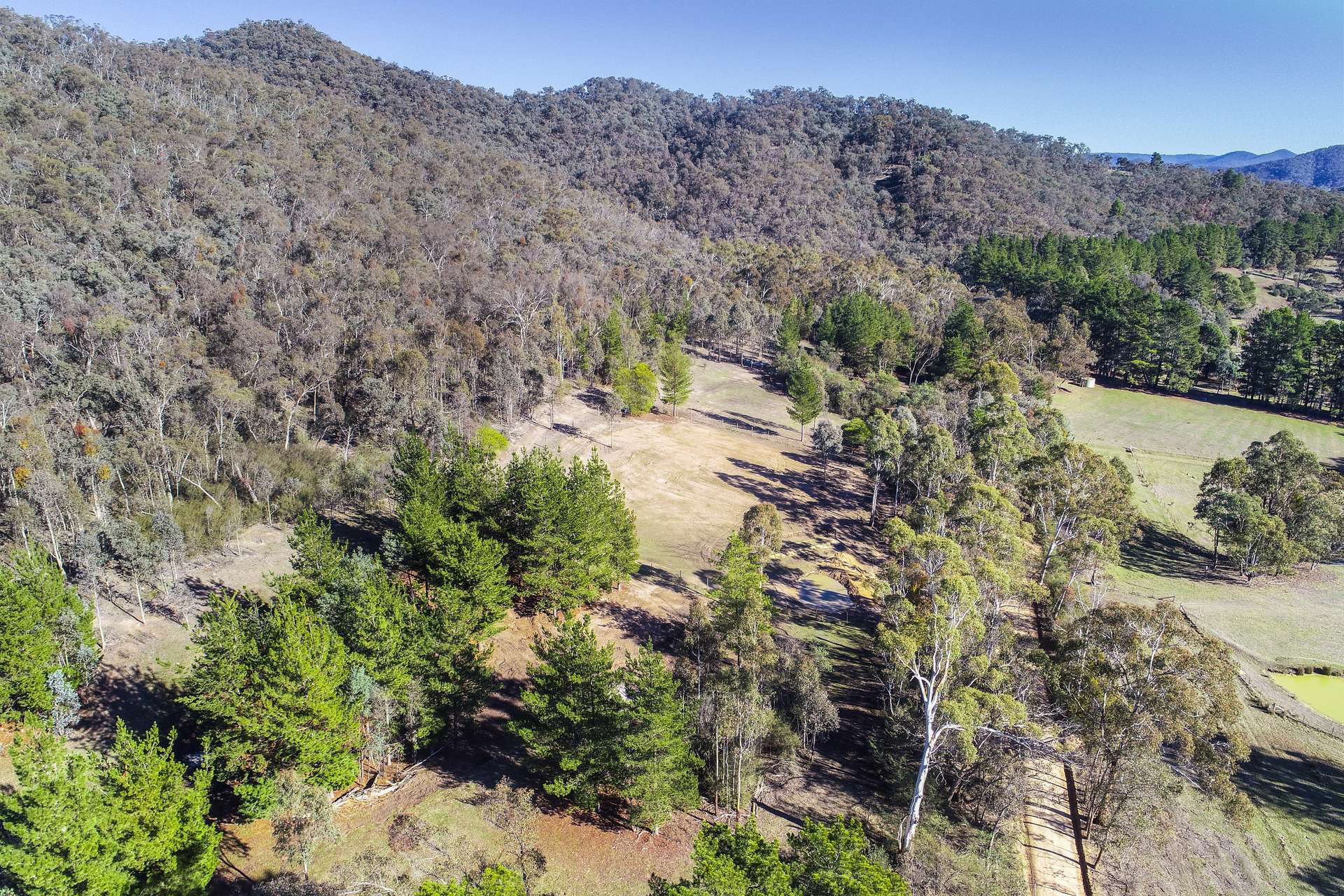 248 Howqua River Road, Howqua For Sale by Farmbuy.com - image 8
