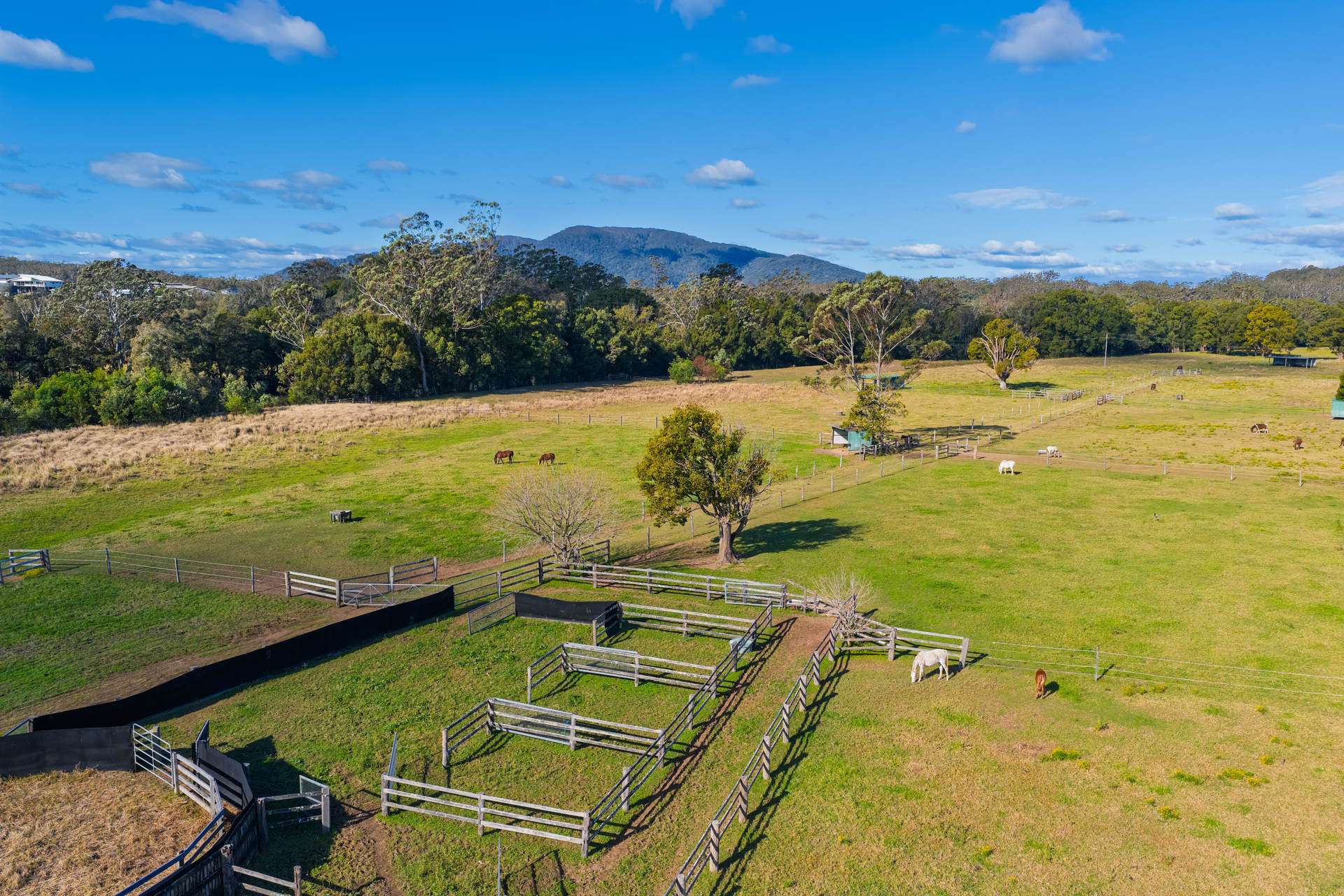 Lot 1 Araluen Street, Kendall For Sale by Farmbuy.com - image 8