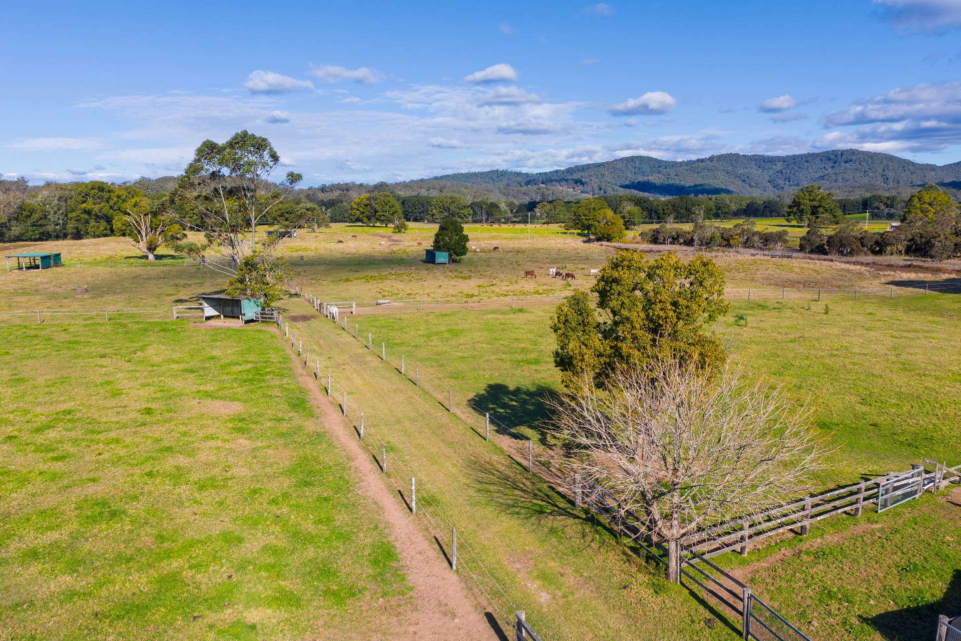 Lot 1 Araluen Street, Kendall For Sale by Farmbuy.com - image 9