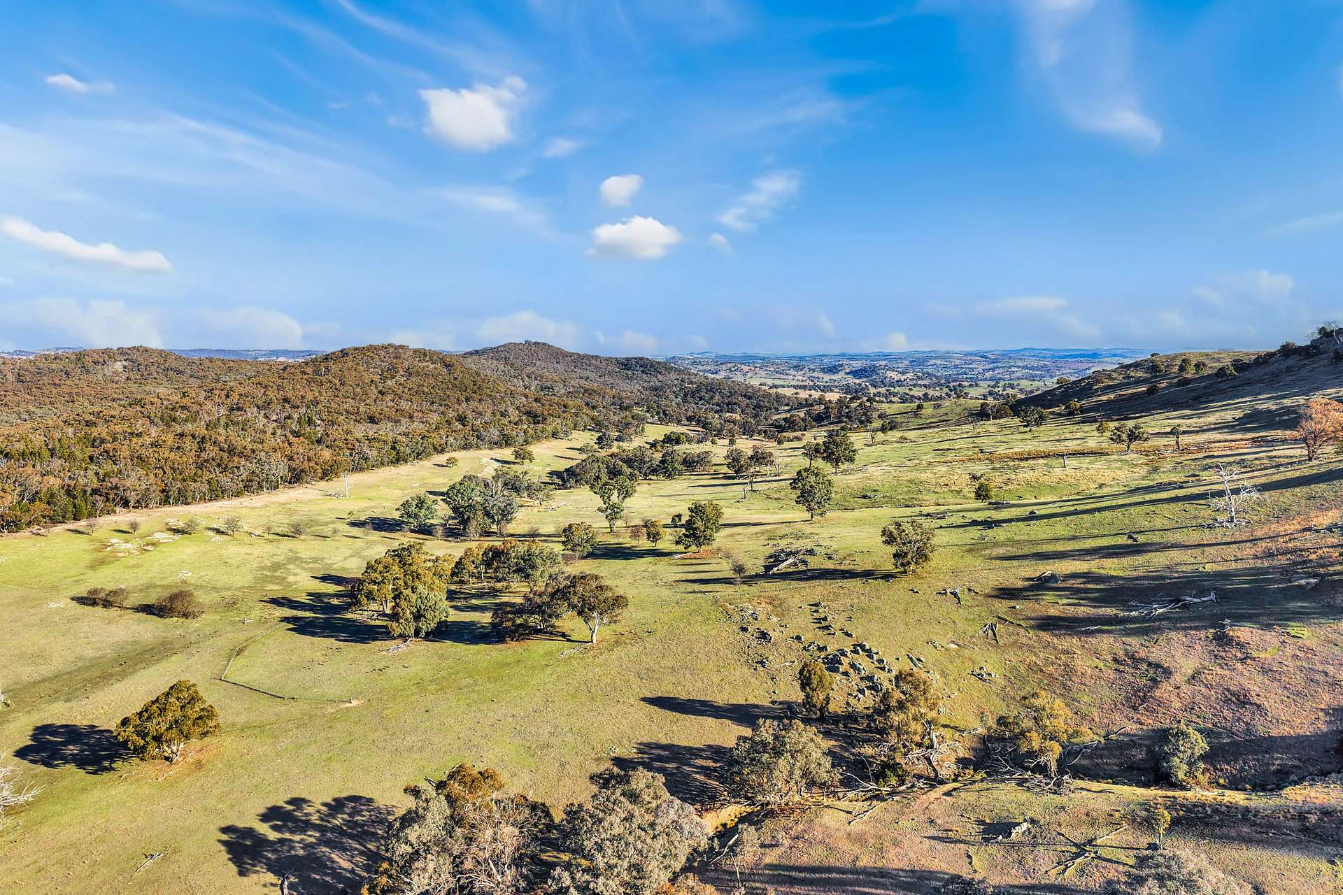 333 Mount Darling Road, Reids Flat Sold by Farmbuy.com - image 8