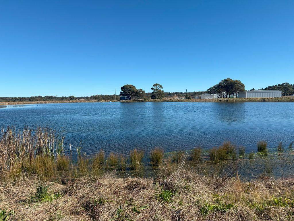 79 Cottonvale School Rd, Cottonvale For Sale by Farmbuy.com - image 10