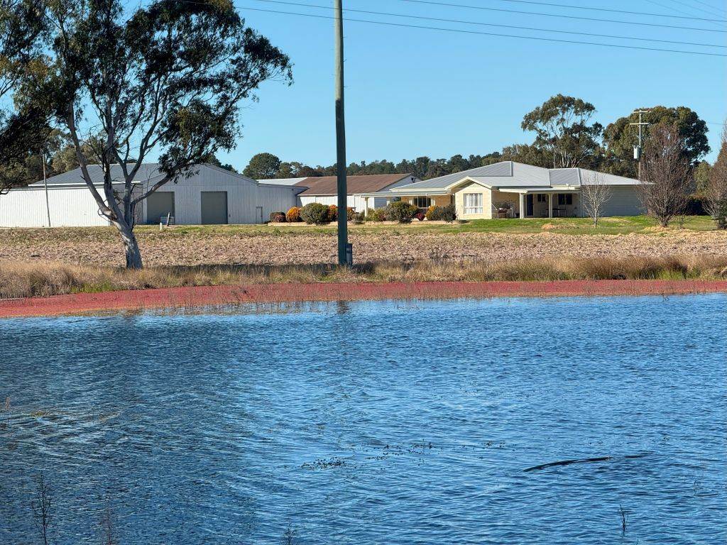 79 Cottonvale School Rd, Cottonvale For Sale by Farmbuy.com - image 4