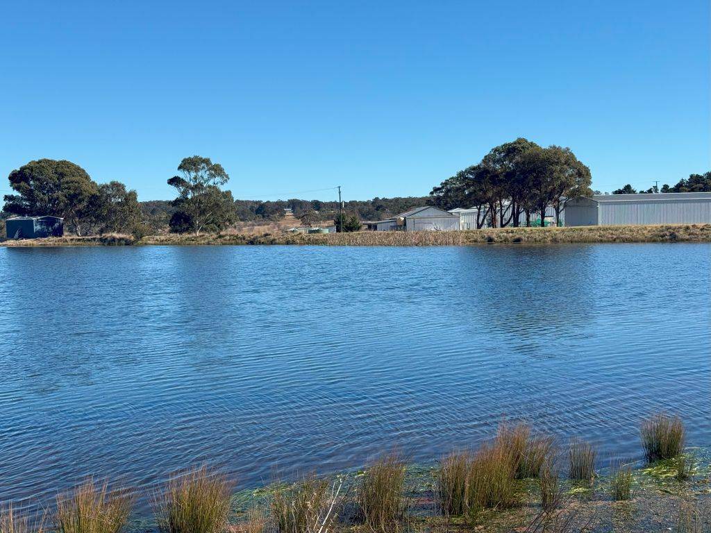 79 Cottonvale School Rd, Cottonvale For Sale by Farmbuy.com - image 6
