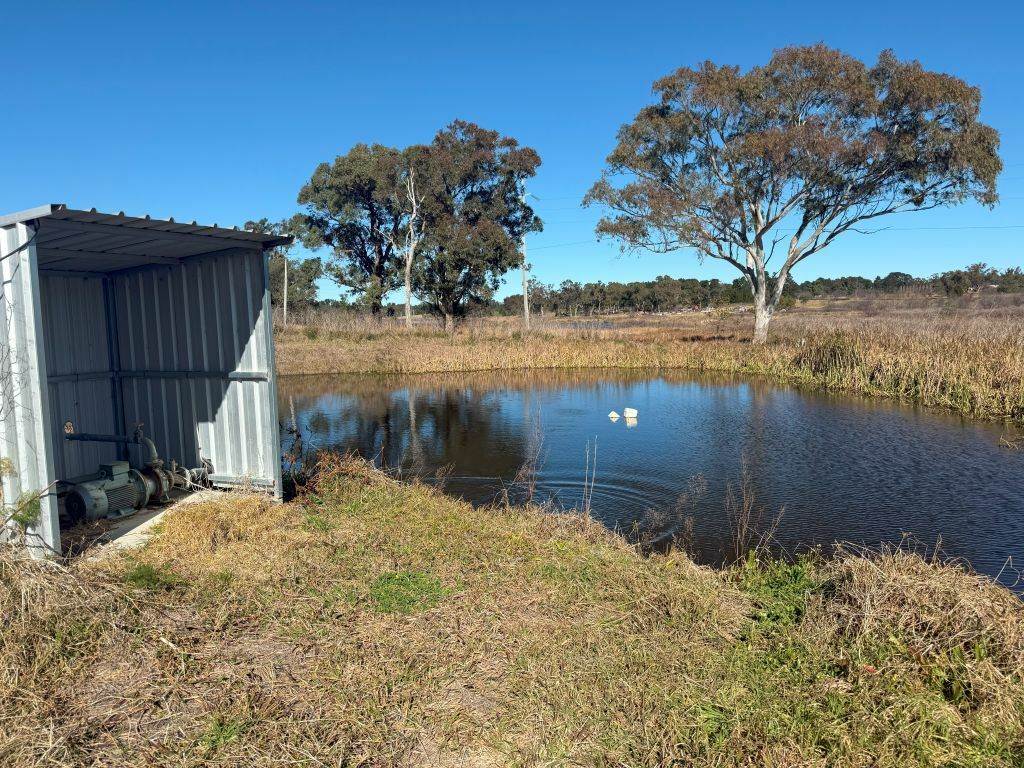 79 Cottonvale School Rd, Cottonvale For Sale by Farmbuy.com - image 16