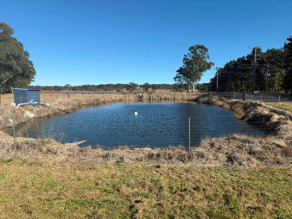 79 Cottonvale School Rd, Cottonvale For Sale by Farmbuy.com - image 12