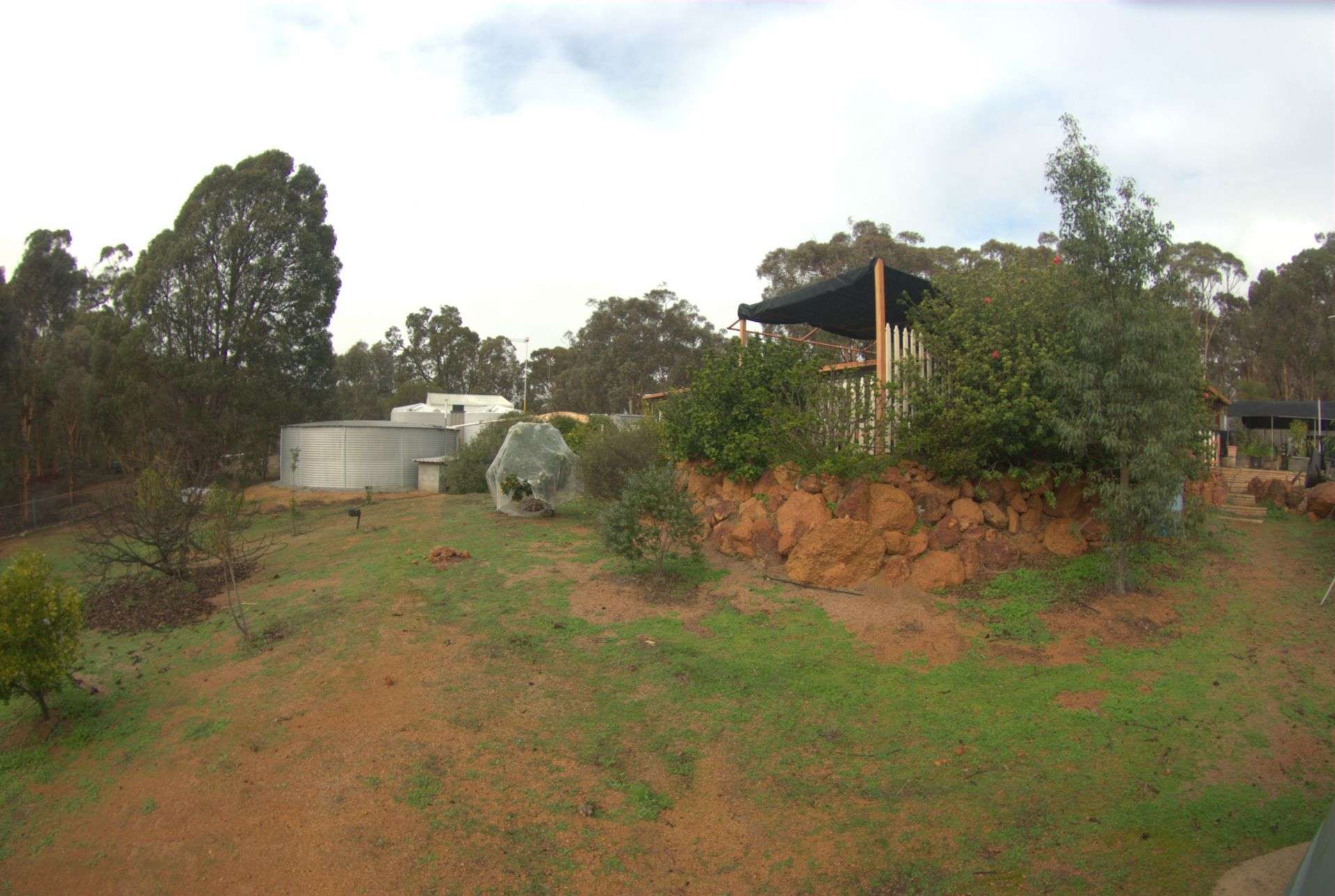 59 Red Gum Circle, Coondle Sold by Farmbuy.com - image 26