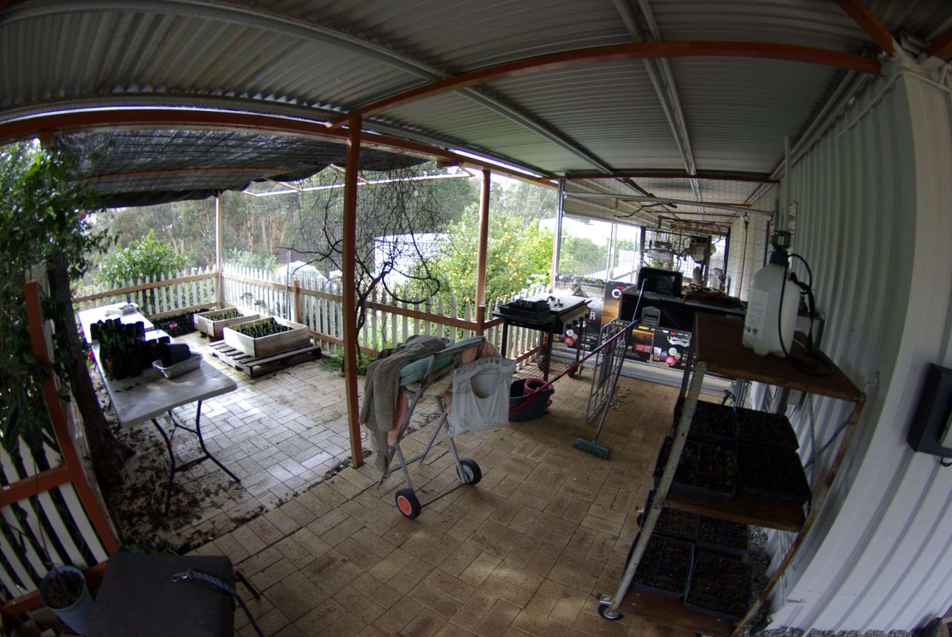 59 Red Gum Circle, Coondle Sold by Farmbuy.com - image 22