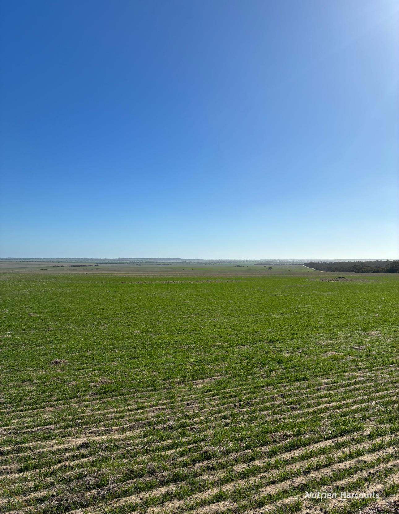 . 'Wooltortons', Kellerberrin Sold by Farmbuy.com - image 4