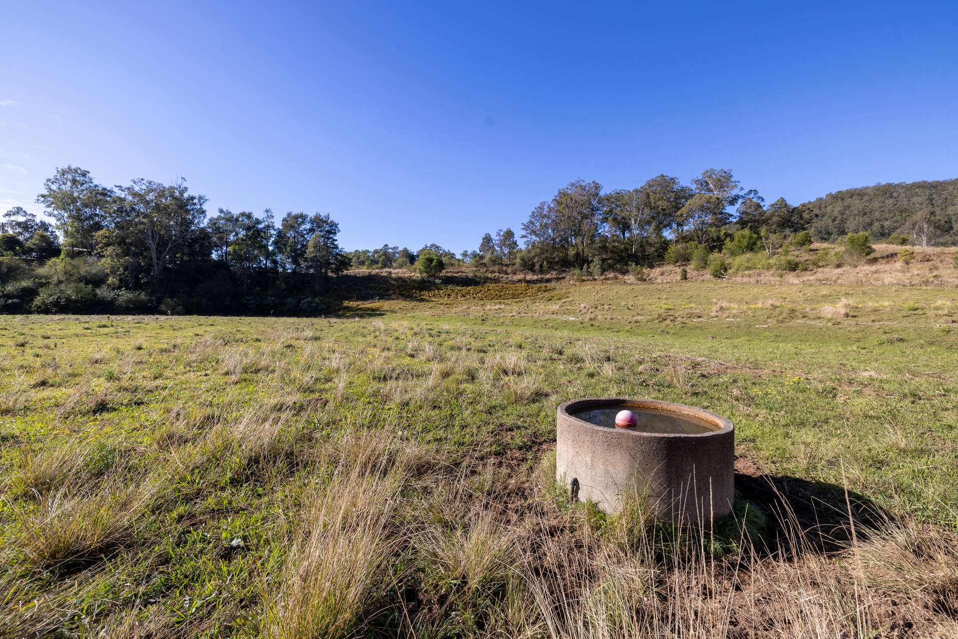 132 Little Run Road, Wherrol Flat For Sale by Farmbuy.com - image 18