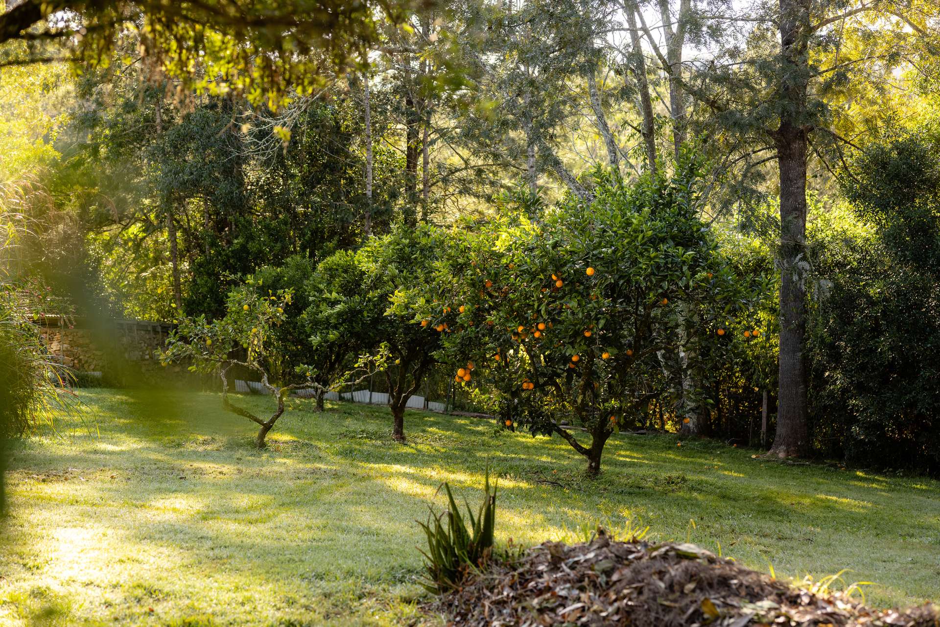 132 Little Run Road, Wherrol Flat For Sale by Farmbuy.com - image 15